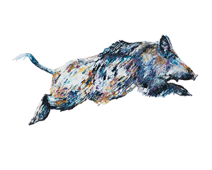 Wild Boar 'Boris' Giclee Print