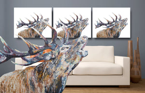 stag print, canvas print, stag
