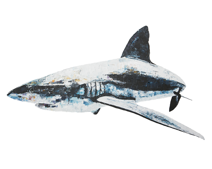 shark print