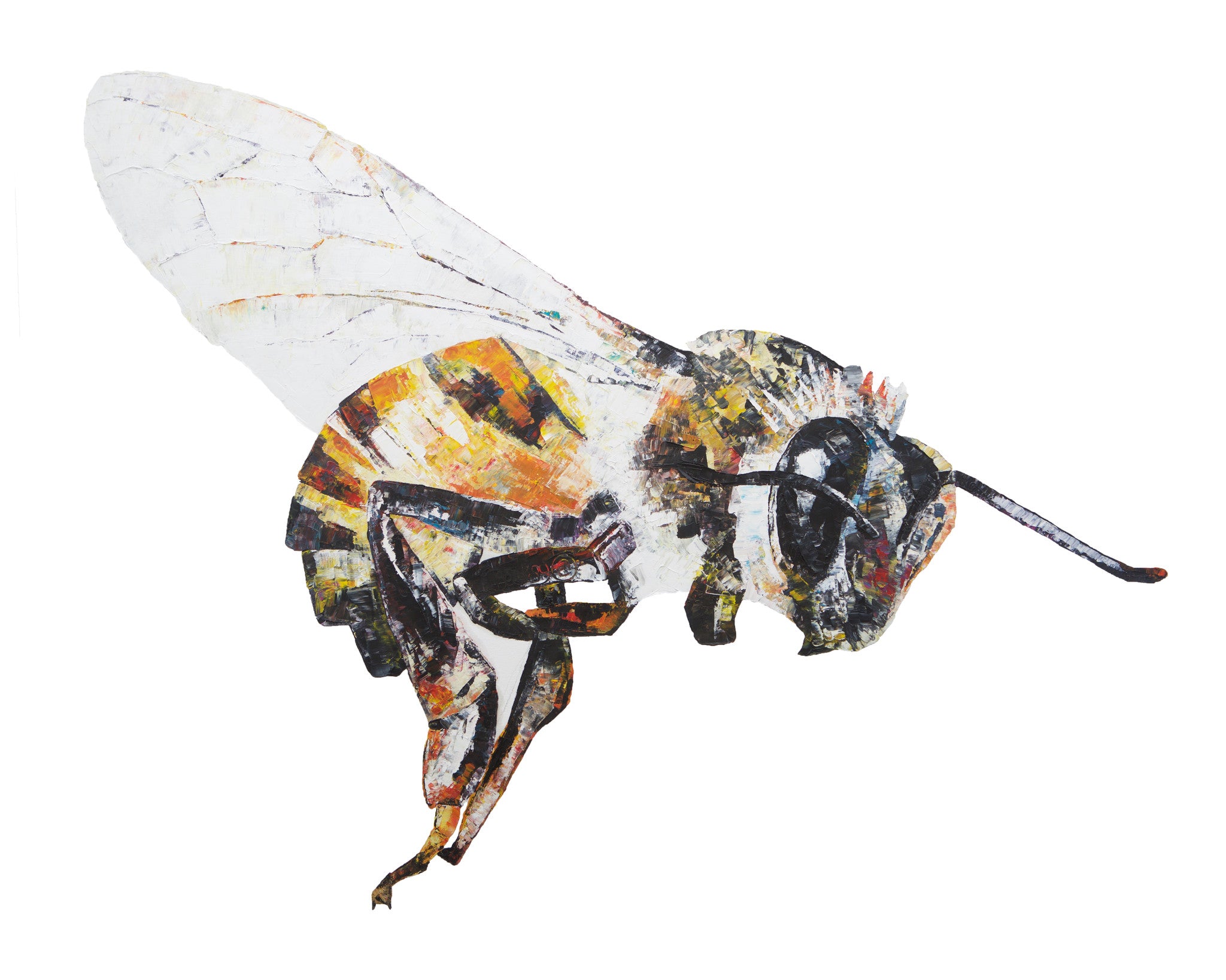 bee, bee print, bee gift, honey bee, honey bee print, honey bee gift idea