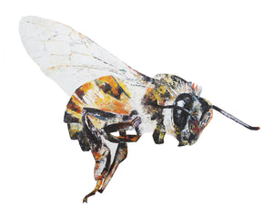 bee, bee print, bee gift, honey bee, honey bee print, honey bee gift idea