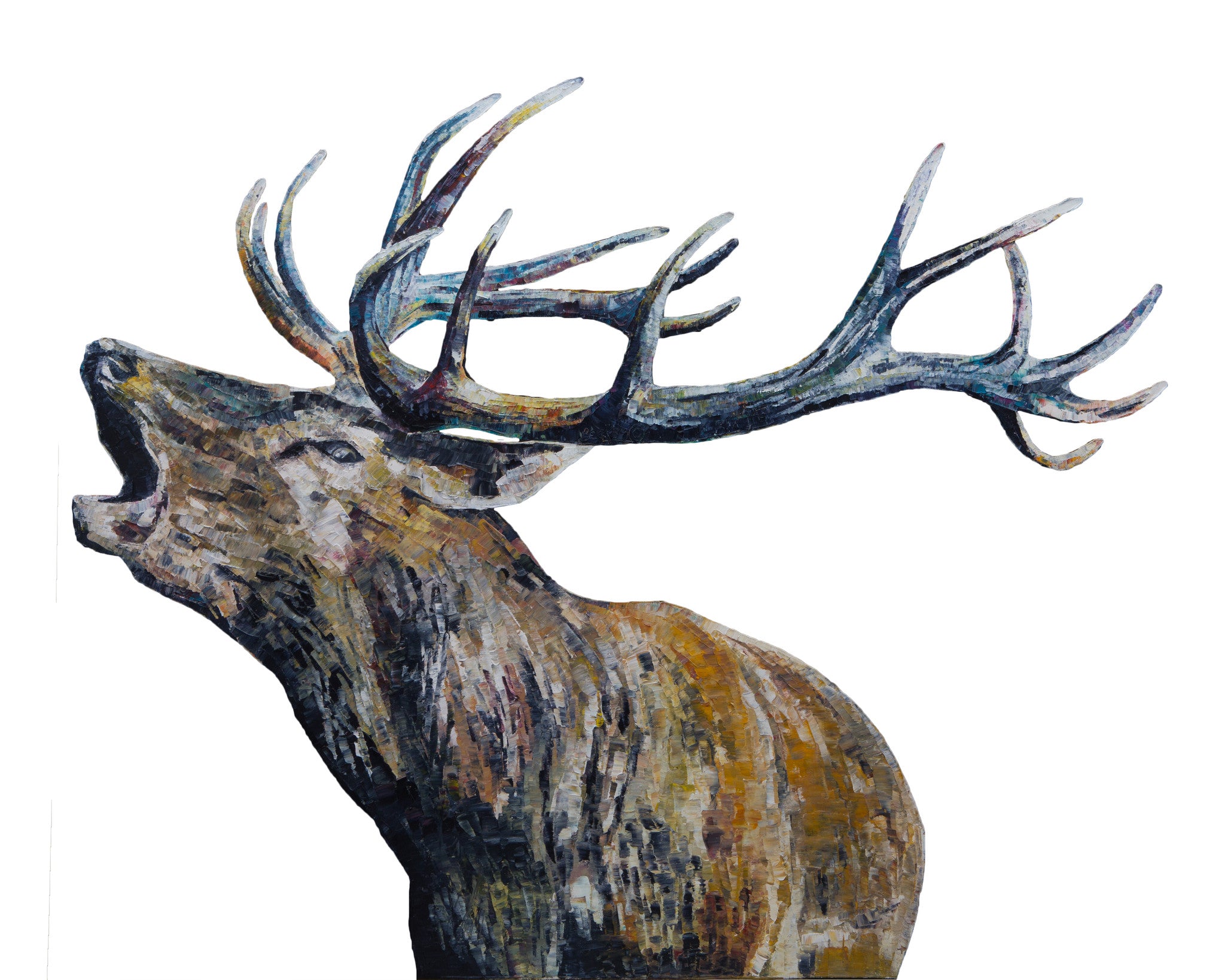 stag, stag print, deer, deer print