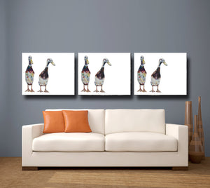 duck, duck print,  duck gift, indian runner duck, indian runner duck print, indian runner duck gift
