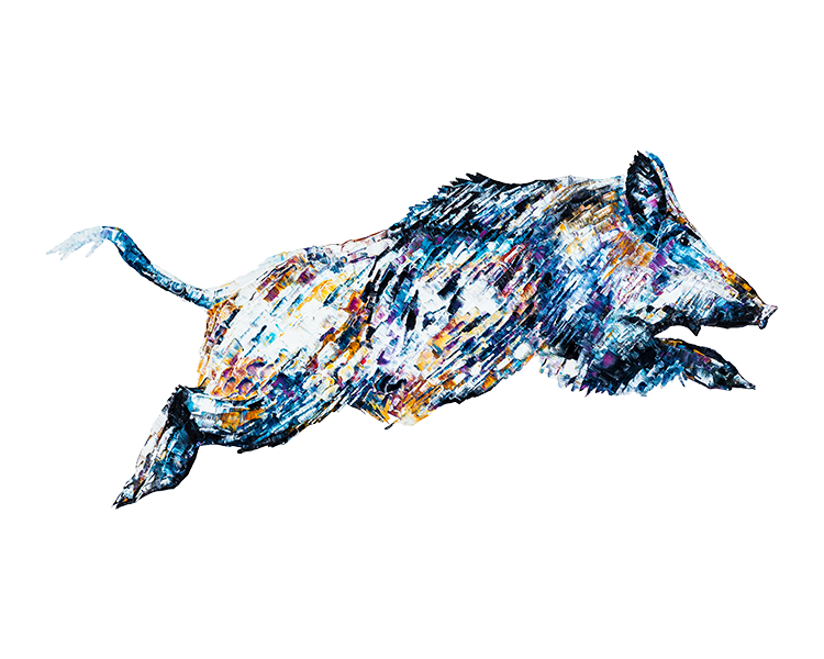 Wild Boar, flying wild boar, colourful wild boar, Boris, Boris Johnson