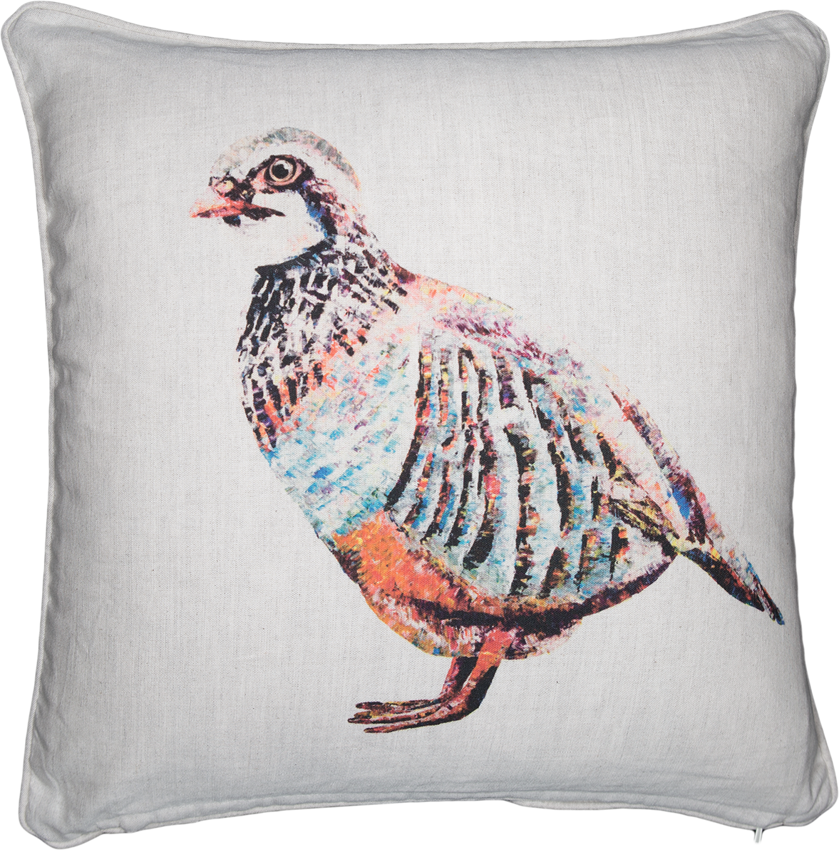 Partridge Cushions 'Mr McAlister'