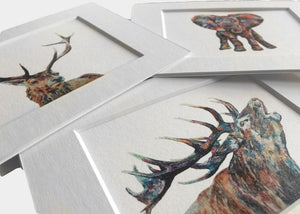 BECKSY Cards