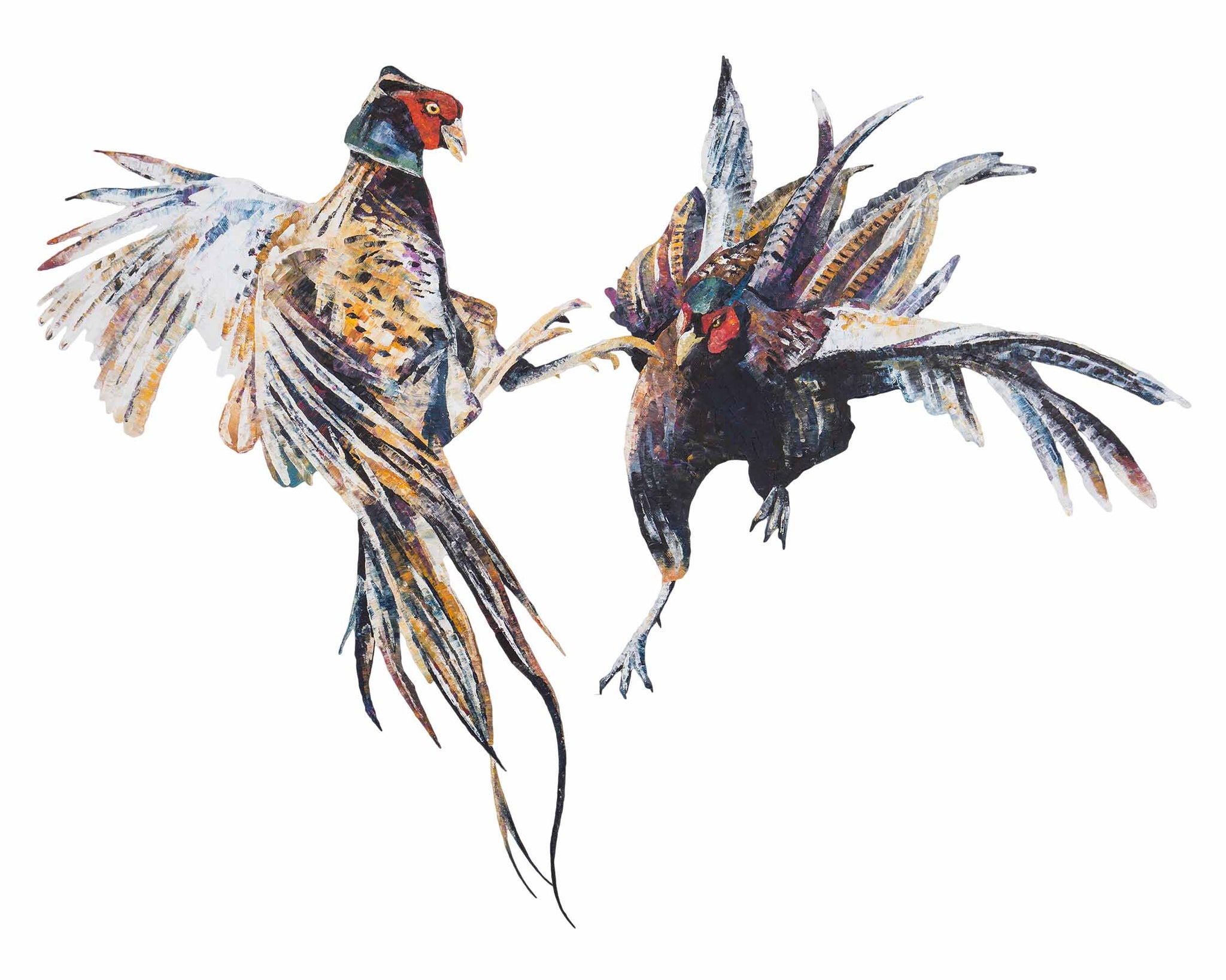 fighting pheasant, pheasant, pheasant print, pheasant gift