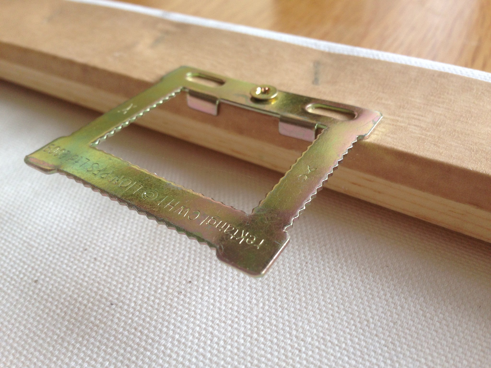 Flamingo 'Fabulous' Giclee Canvas Print