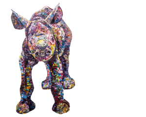 baby rhino, baby rhino print