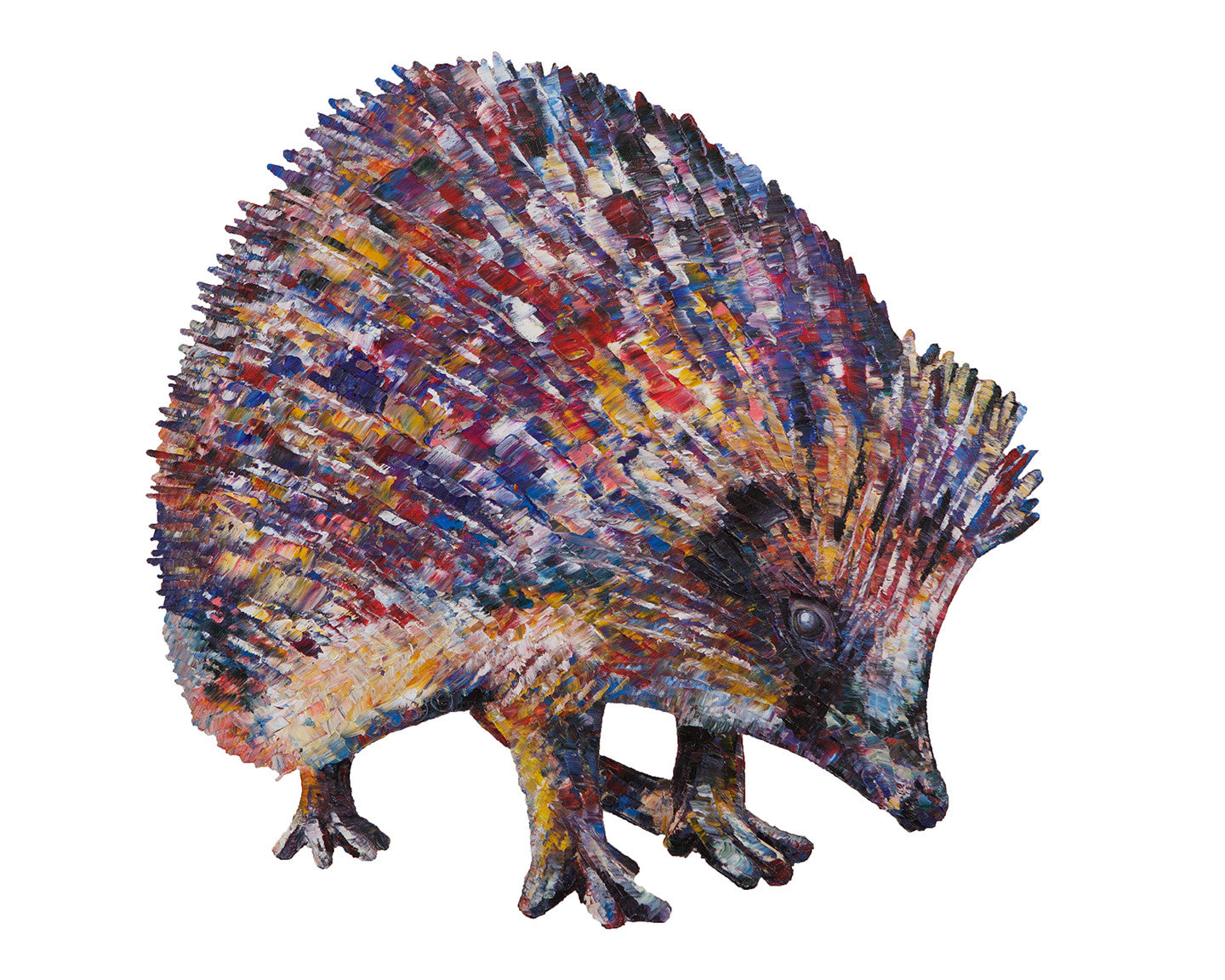 hedgehog, hedgehog print, hedgehog gift