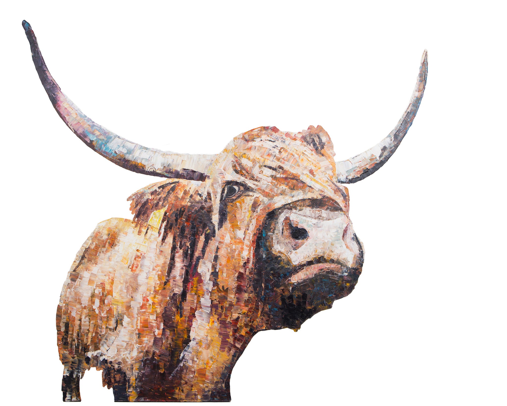 highland cow, highland cow print, highland cow gift, cow, cow print, cow gift idea, highland coo, highland coo print, highland coo gift idea