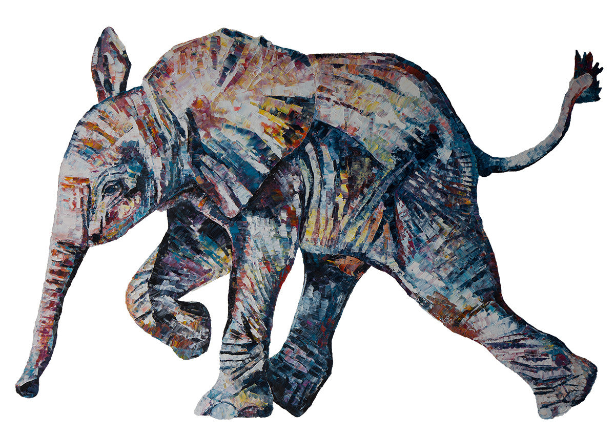 baby elephant, baby elephant print