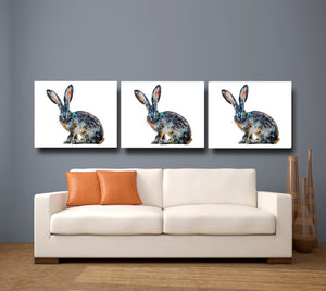 hare, rabbit, jack rabbit, hare print, rabbit print, jack rabbit print, hare gift, rabbit gift, jack rabbit gift