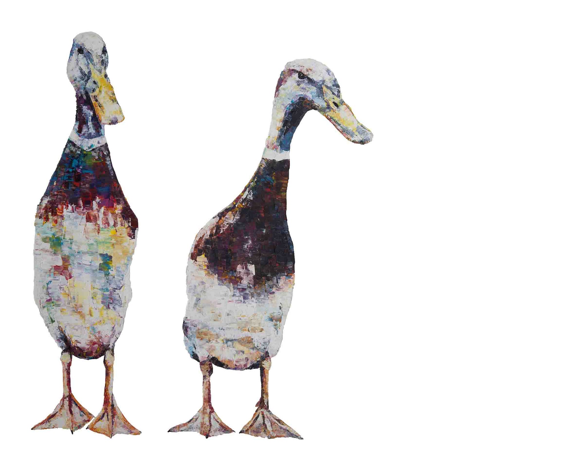 duck, duck print,  duck gift, indian runner duck, indian runner duck print, indian runner duck gift