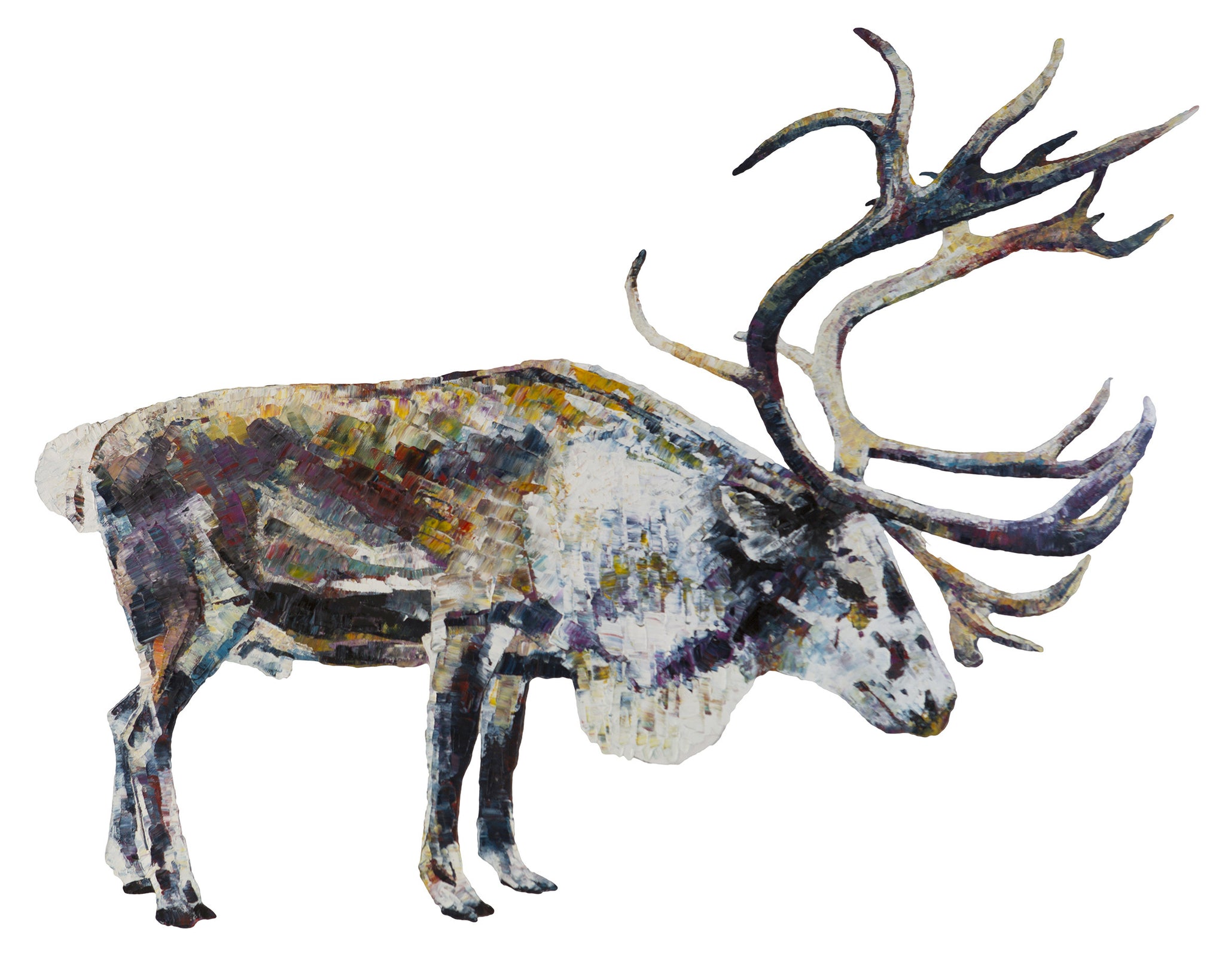 reindeer print, deer print