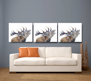 stag, stag print, deer, deer print