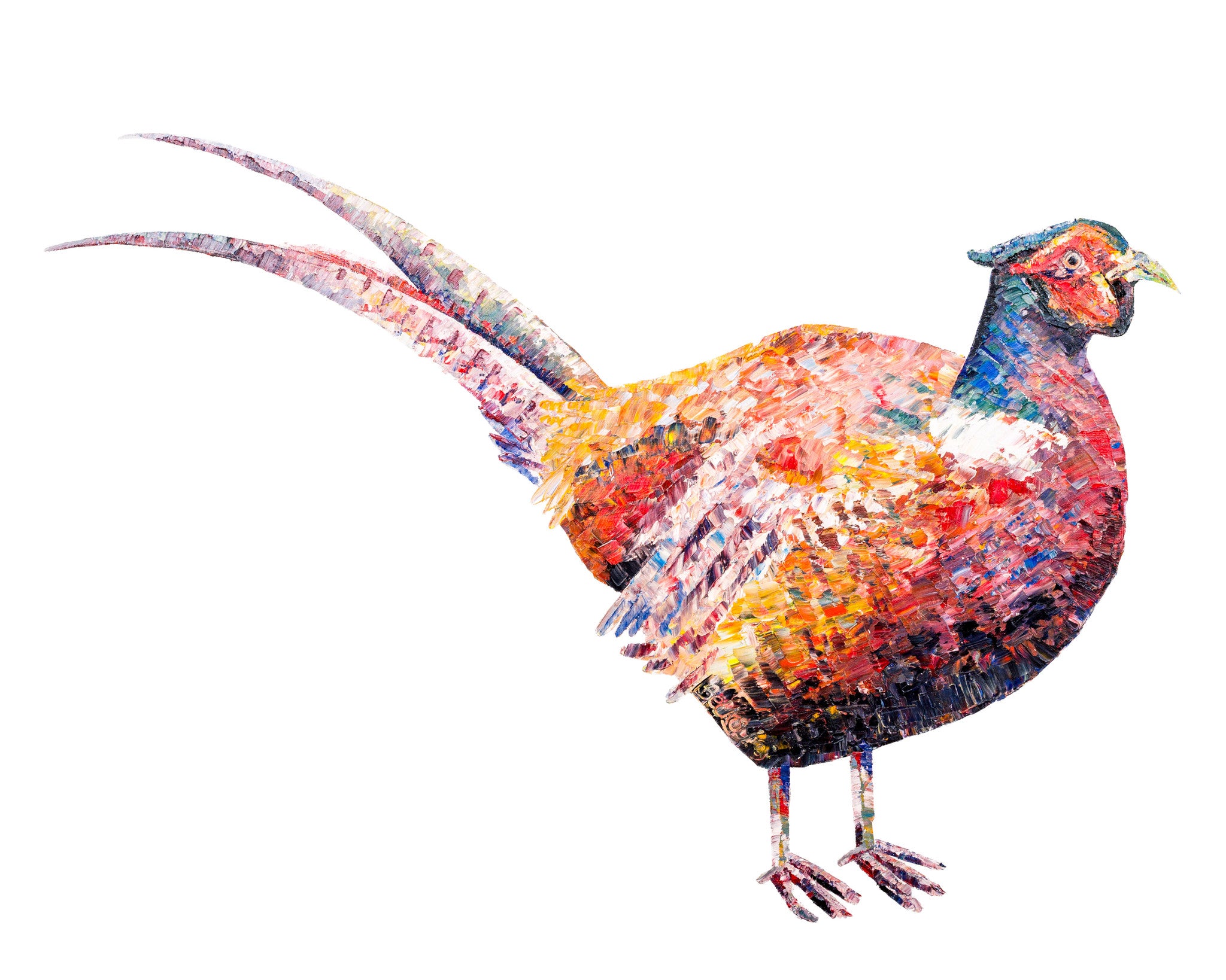 Pheasant Silk Twill Scarf