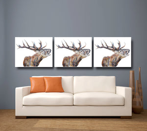 stag, stag print, deer, deer print