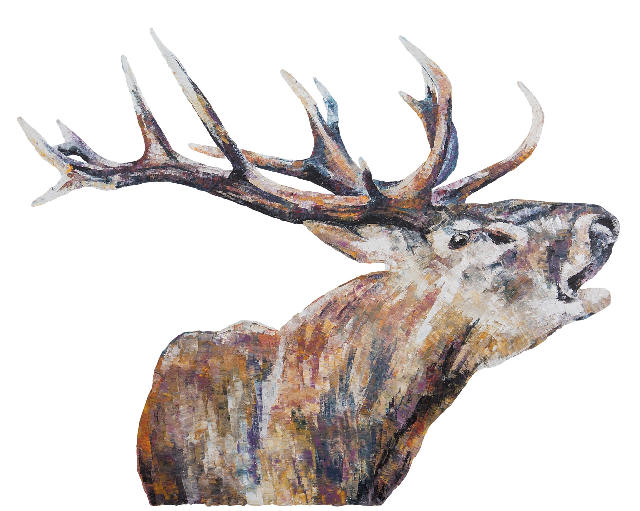 stag, stag print, deer, deer print