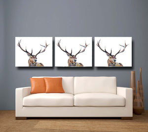 highland stag, highland stag print, highland stag gift idea, stag, stag print, stag gift idea, red deer, red deer print, red deer gift idea, deer, deer print, deer gift idea