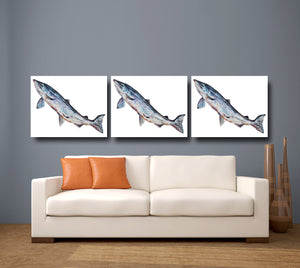 salmon, salmon print, salmon gift idea, fish, fish print, fishing gift idea, hunting shooting gift, fin