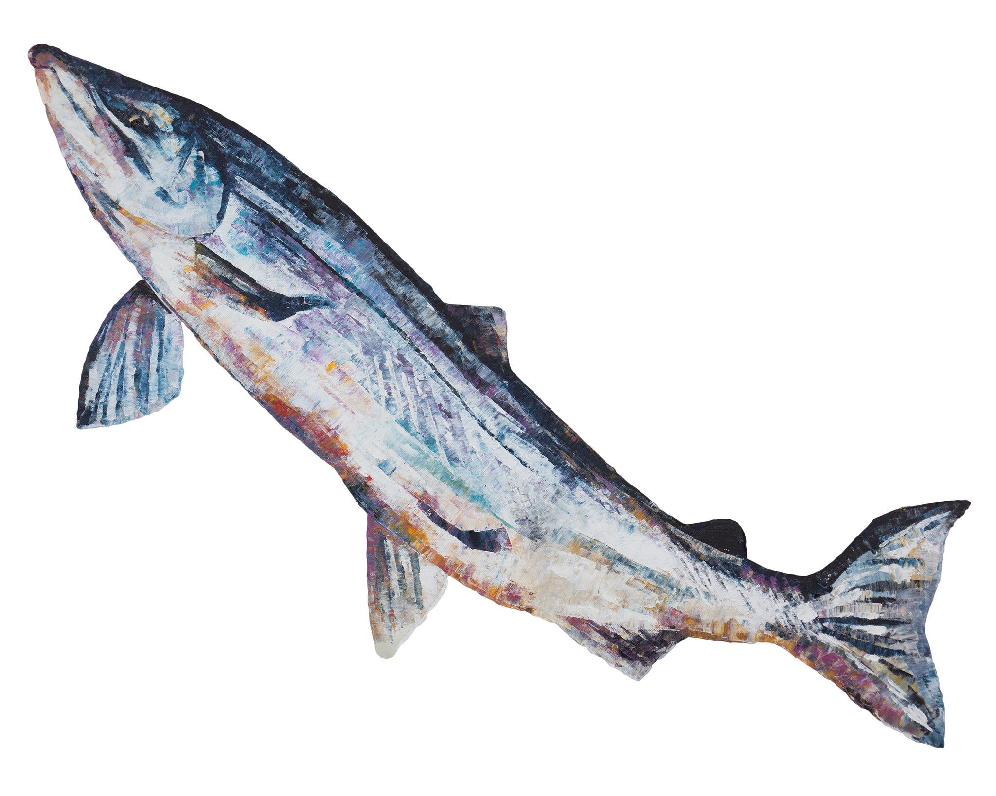 salmon, salmon print, salmon gift idea, fish, fish print, fishing gift idea, hunting shooting gift, fin