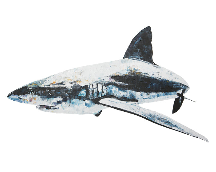 shark, shark print, shark gift idea