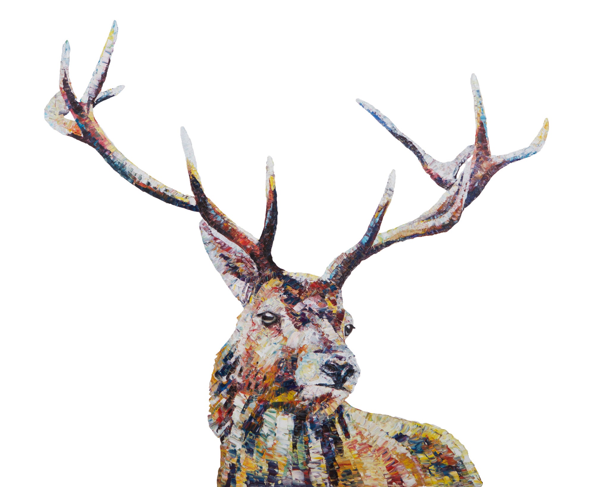 highland stag, highland stag print, highland stag gift idea, stag, stag print, stag gift idea, red deer, red deer print, red deer gift idea, deer, deer print, deer gift idea