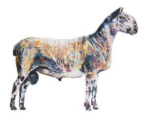 sheep. sheep print, sheep gift, blue faced Leicester sheep