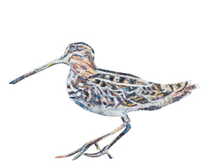 woodcock, woodcock print, woodcock gift idea, timber doodle, timber doddle print, timber doodle gift idea