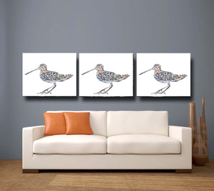 woodcock, woodcock print, woodcock gift idea, timber doodle, timber doddle print, timber doodle gift idea