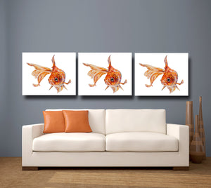 angel fish, fish, gold fish print canvas fish canvas